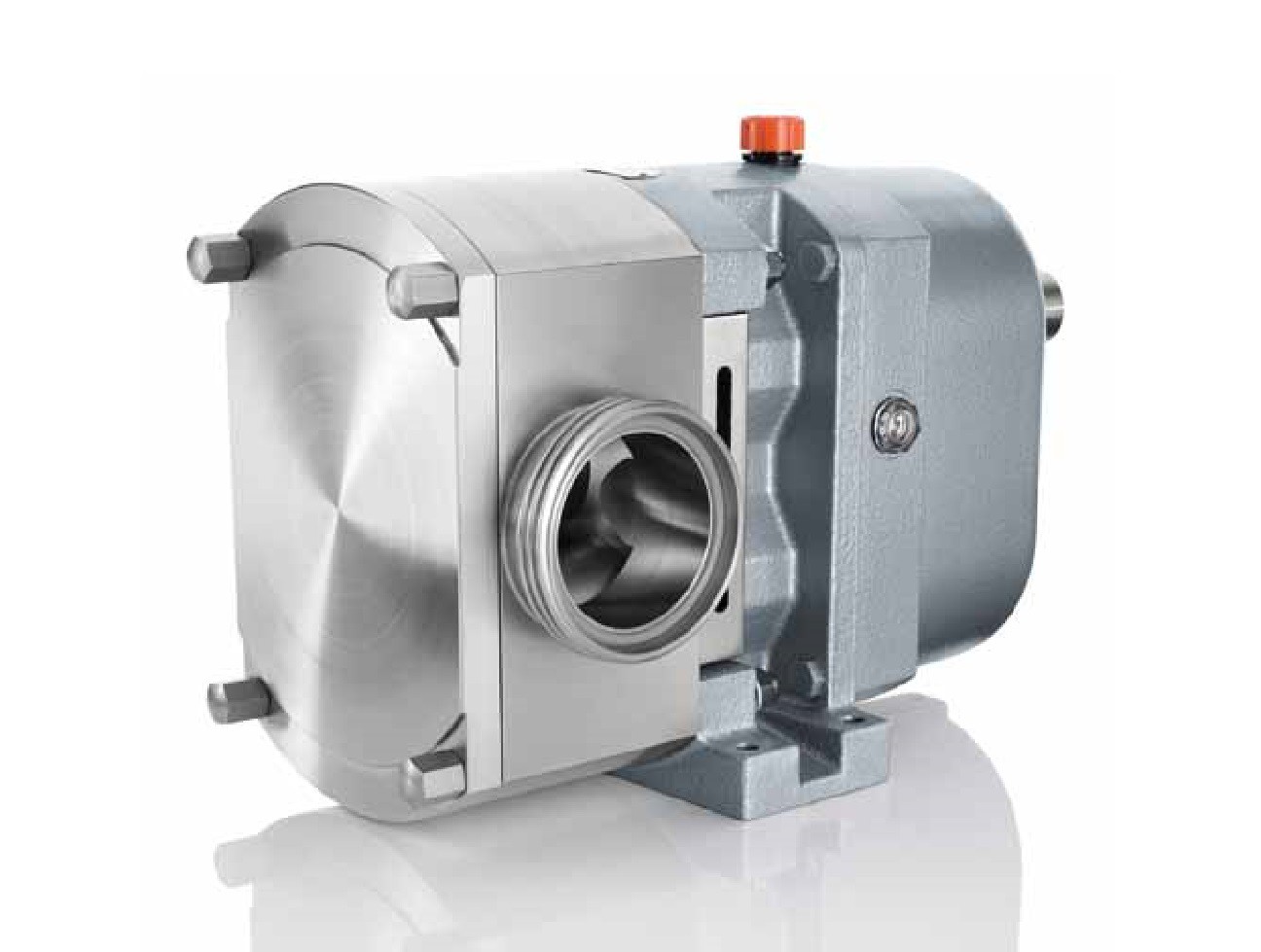 Fristam FL Series  Positive Displacement Pump