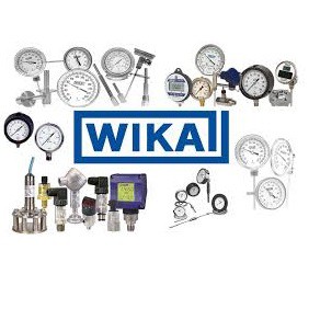 Wika 111.10SP Pressure Gauge